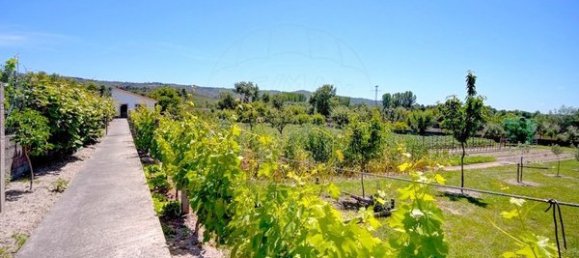 4 غرف نوم منزل في Lama de Arcos, Portugal رقم 183120 42