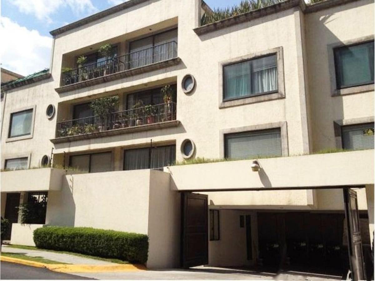 3 Schlafzimmer Wohnung in Mexico, Nr. 220706