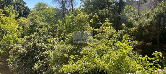 160m² Office in Odivelas, Portugal No. 193365 7