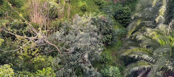 160m² Office in Odivelas, Portugal No. 193365 21