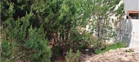 قطعة أرض في Sesimbra, Portugal 200متر مربع رقم 90204 7