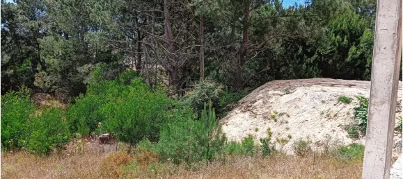 قطعة أرض في Sesimbra, Portugal 200متر مربع رقم 90204 6