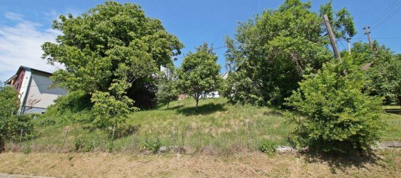 3-salle Maison à Olbendorf, Austria No. 4446 22