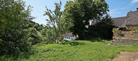 3-salle Maison à Olbendorf, Austria No. 4446 19