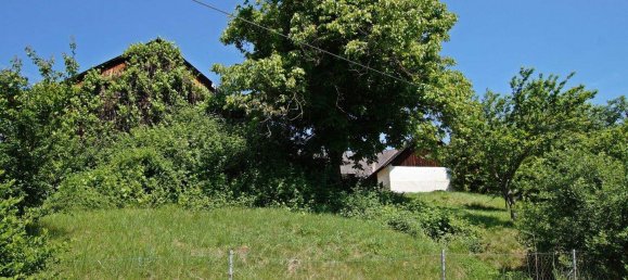 3-salle Maison à Olbendorf, Austria No. 4446 21