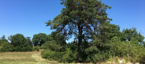 16285m² Land in Vivonne, France No. 335856 8