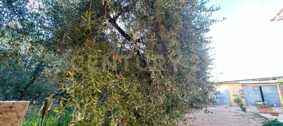 Casa de 7 habitaciónes en Orbetello, Italy No. 134774 22