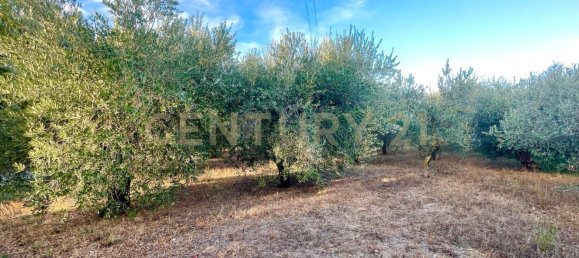 Casa de 7 habitaciónes en Orbetello, Italy No. 134774 18