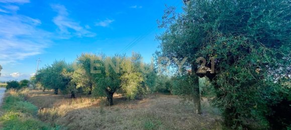 Casa de 7 habitaciónes en Orbetello, Italy No. 134774 21