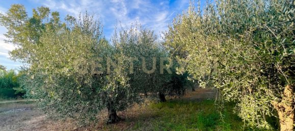 Casa de 7 habitaciónes en Orbetello, Italy No. 134774 17