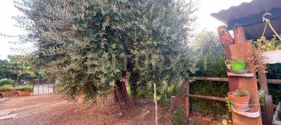 Casa de 7 habitaciónes en Orbetello, Italy No. 134774 16