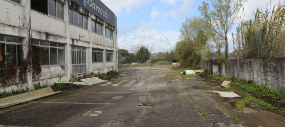 4679m² Warehouse in Sangalhos, Portugal No. 19267 22