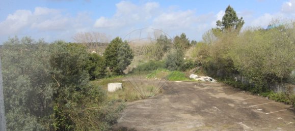 4679m² Warehouse in Sangalhos, Portugal No. 19267 38