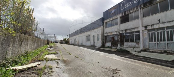 4679m² Warehouse in Sangalhos, Portugal No. 19267 37