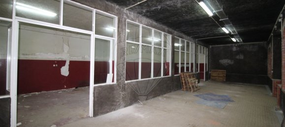 4679m² Warehouse in Sangalhos, Portugal No. 19267 25
