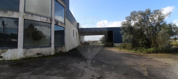 4679m² Warehouse in Sangalhos, Portugal No. 19267 33
