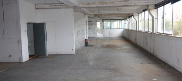 4679m² Warehouse in Sangalhos, Portugal No. 19267 19