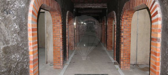 4679m² Warehouse in Sangalhos, Portugal No. 19267 27