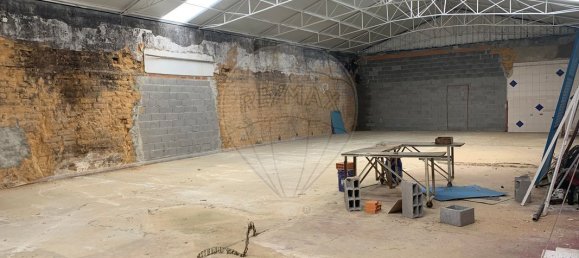 4679m² Warehouse in Sangalhos, Portugal No. 19267 9