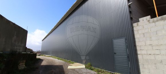 4679m² Warehouse in Sangalhos, Portugal No. 19267 5