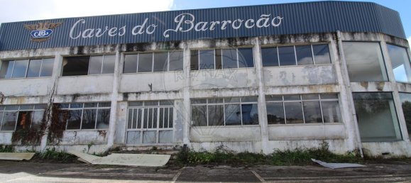 4679m² Warehouse in Sangalhos, Portugal No. 19267 36