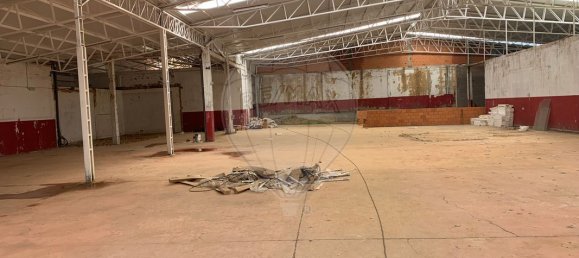 4679m² Warehouse in Sangalhos, Portugal No. 19267 8