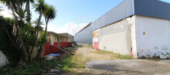 4679m² Warehouse in Sangalhos, Portugal No. 19267 17