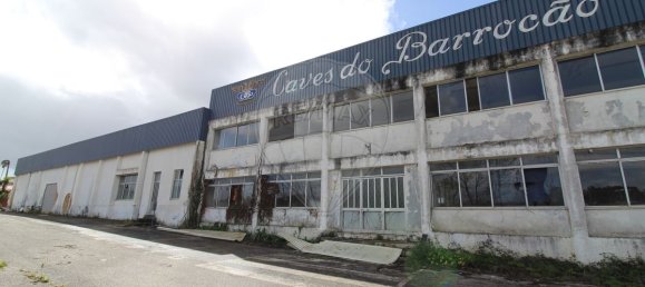 4679m² Warehouse in Sangalhos, Portugal No. 19267 2