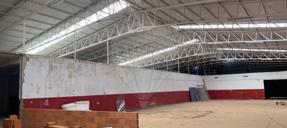 4679m² Warehouse in Sangalhos, Portugal No. 19267 6