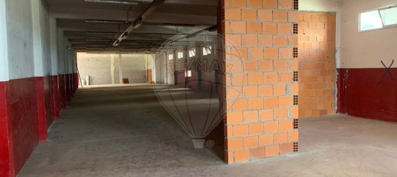 4679m² Warehouse in Sangalhos, Portugal No. 19267 12