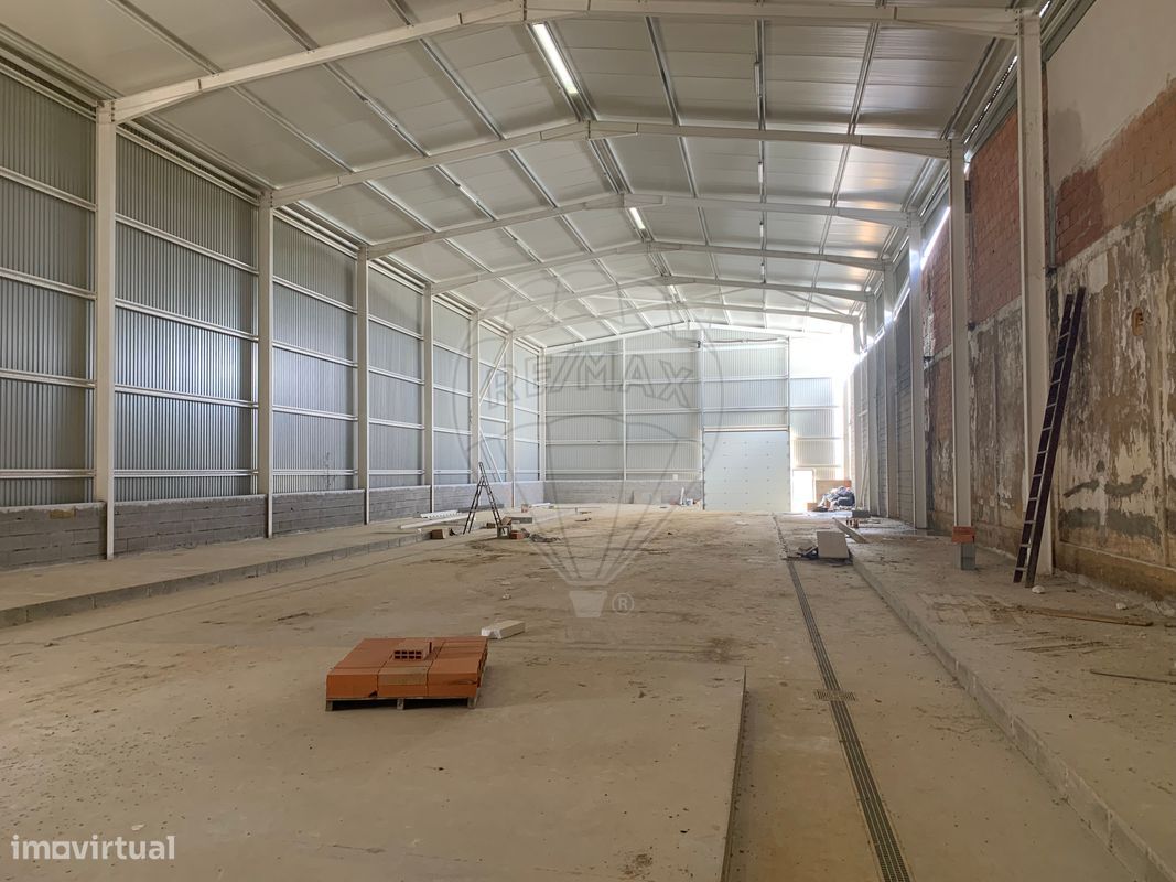 4679m² Warehouse in Sangalhos, Portugal No. 19267