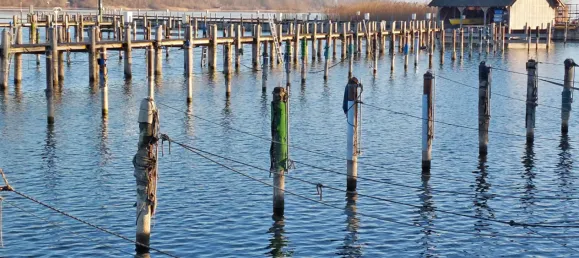 1 Schlafzimmer Wohnung in Traunstein, Germany, Nr. 179284 5