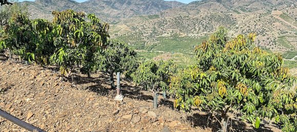 Casa T1 em Benamargosa, Spain N.º 35860 48