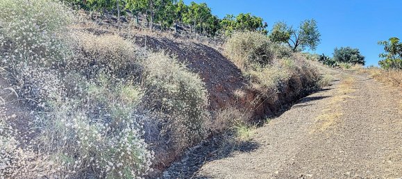 Casa T1 em Benamargosa, Spain N.º 35860 5