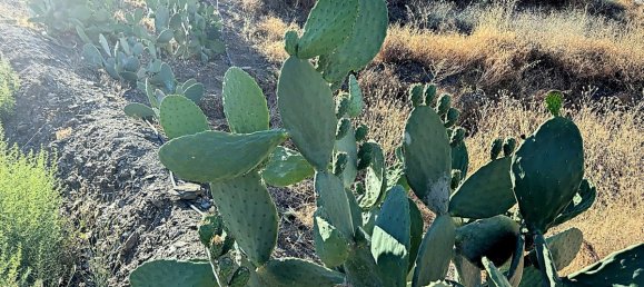 Casa T1 em Benamargosa, Spain N.º 35860 27