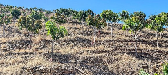 Casa T1 em Benamargosa, Spain N.º 35860 47