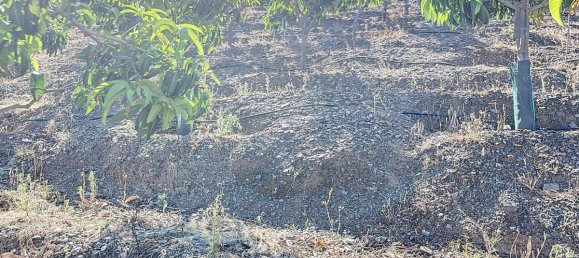 Casa T1 em Benamargosa, Spain N.º 35860 49