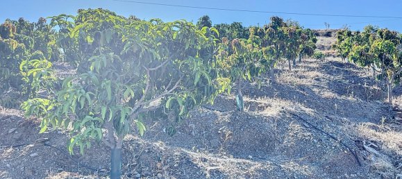 Casa T1 em Benamargosa, Spain N.º 35860 50