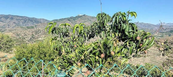 Casa T1 em Benamargosa, Spain N.º 35860 42