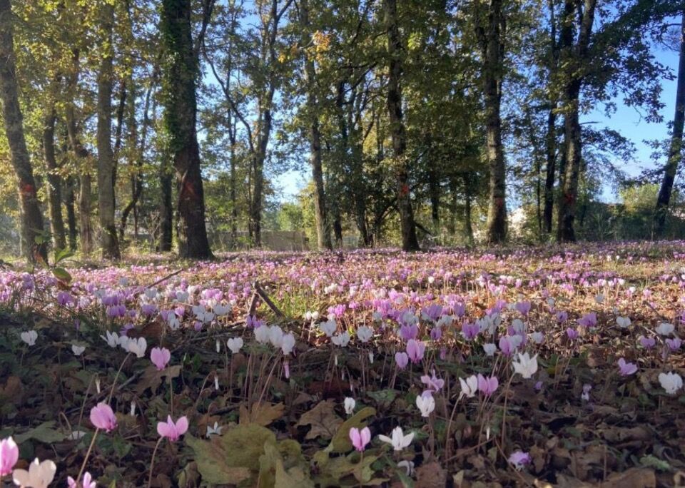 Terreno em Le Porge, France N.º 345599