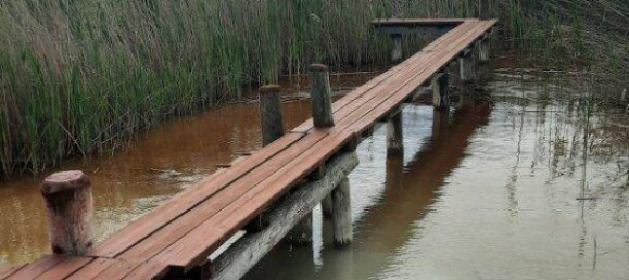 Casa de 3 divisões em Rust, Austria N.º 241090 22