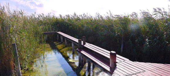 Casa de 3 divisões em Rust, Austria N.º 241090 13