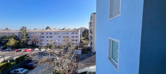 2-salle Appartement à Wiener Neudorf, Austria No. 162050 11