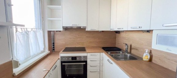 2-salle Appartement à Wiener Neudorf, Austria No. 162050 4