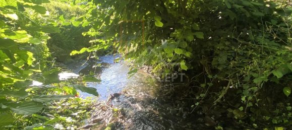  قطعة أرض في Drachenbronn-Birlenbach, France رقم 262701 2