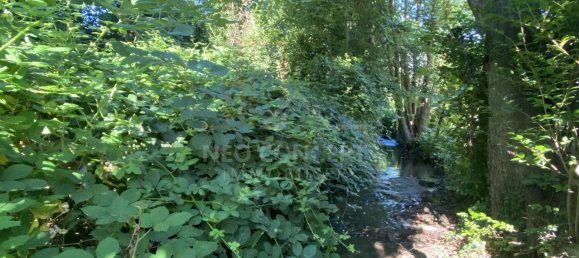  قطعة أرض في Drachenbronn-Birlenbach, France رقم 262701 3