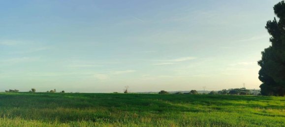 60000m² Land in Bracciano, Italy No. 76540 9