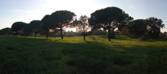 60000m² Land in Bracciano, Italy No. 76540 4