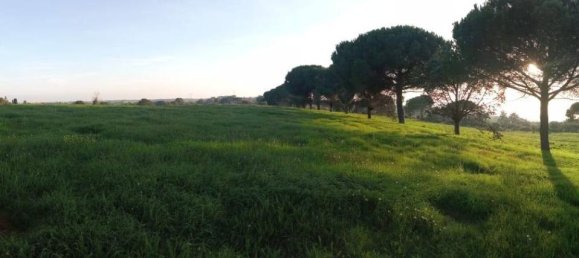 60000m² Land in Bracciano, Italy No. 76540 3