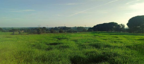 60000m² Land in Bracciano, Italy No. 76540 5